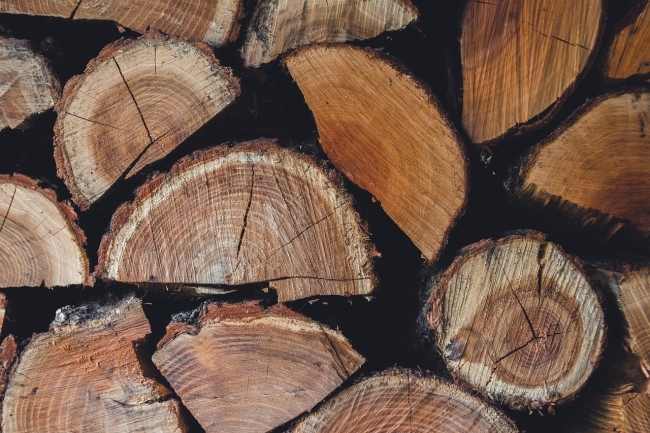 Halfdroog brandhout per stère